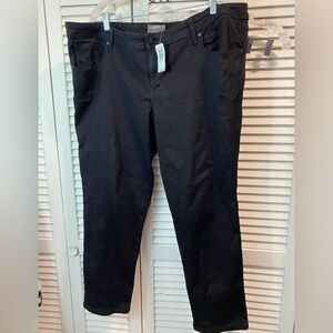 NWT Torrid‎ size 24R